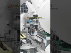 เซลล์การใส่คลิปแบบหุ่นยนต์คู่สำหรับประกอบชิ้นส่วนยานยนต์